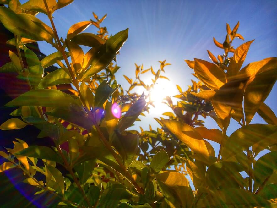 Precauciones que debes tomar en Australia, el sol