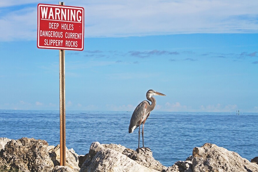 Precauciones que debes tomar en Australia y peligros