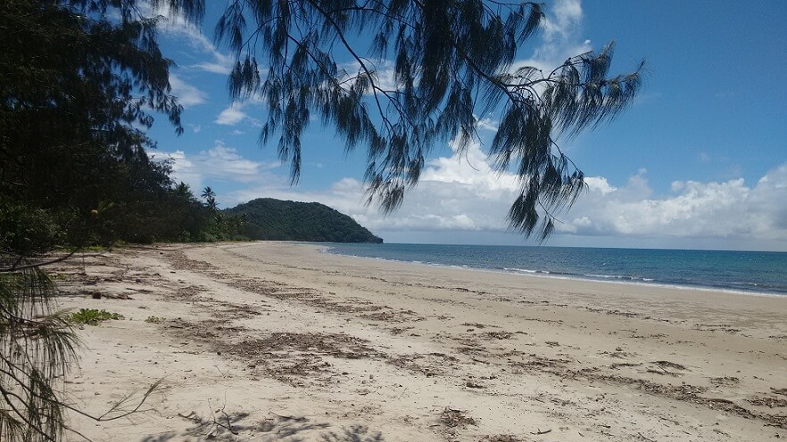 Coconut Beach en el Bosque tropical Daintree