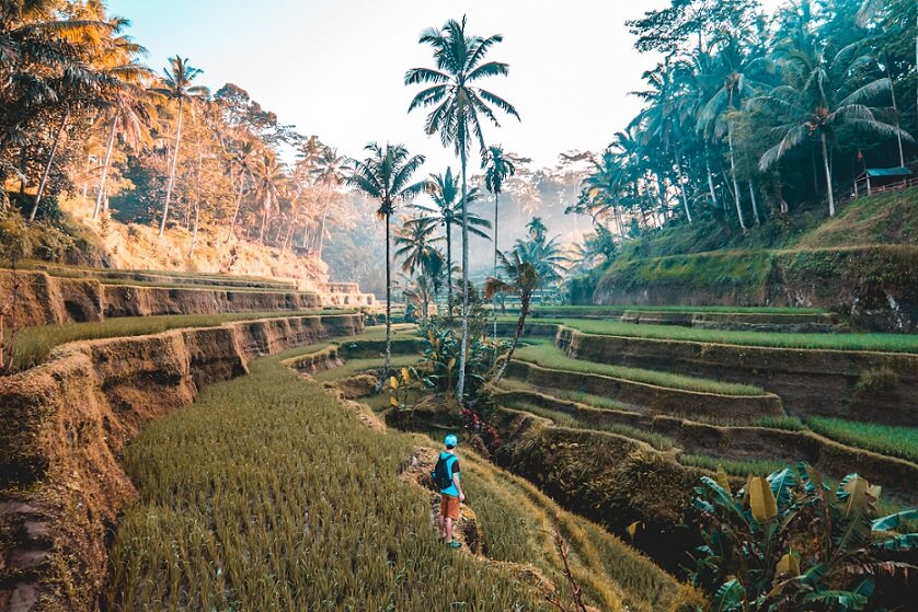 Indonesia