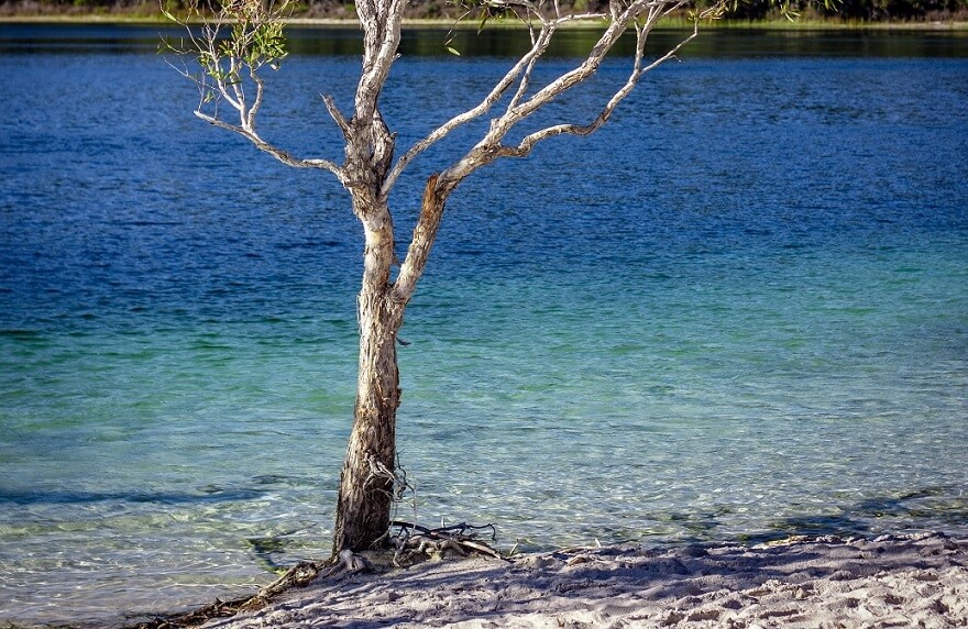 Lago McKenzie