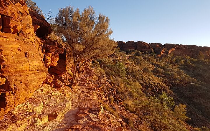 Amanecer en Kings Canyon