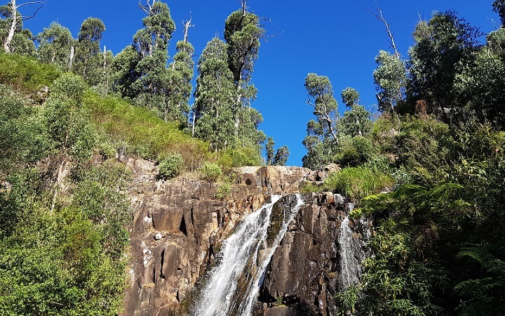 Cascadas Steavenson Falls en Marysville