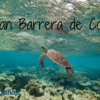La Gran Barrera de Coral: cómo visitarla y qué tener en cuenta Gran Barrera de Coral