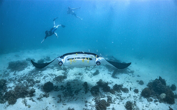 Mantarraya con bañistas en Coral Bay
