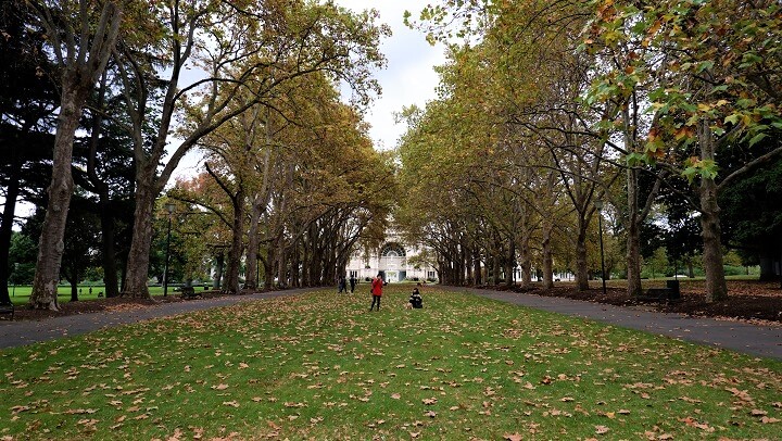 Carlton Gardens