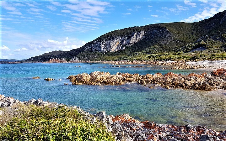 Burgess Cove en Costa Norte de Tasmania