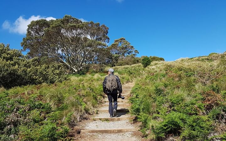 Camino en la Costa Norte de Tasmania