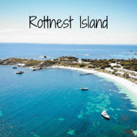 Rottnest Island: Qué hacer y cómo llegar a la isla de los quokkas Rottnest Island